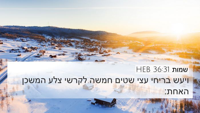 שמות 36:31 HEB Bible Verse Image