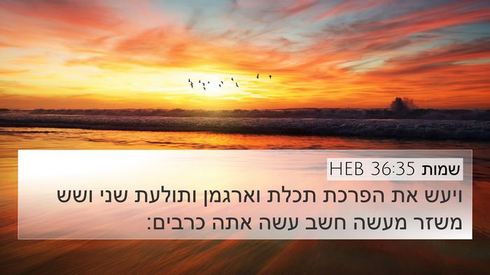 שמות 36:35 HEB Bible Verse Image
