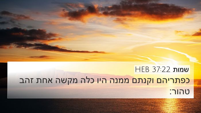 שמות 37:22 HEB 4K Wallpaper - כפתריהם וקנתם ממנה היו כלה - 4K Wallpaper Bible Verse