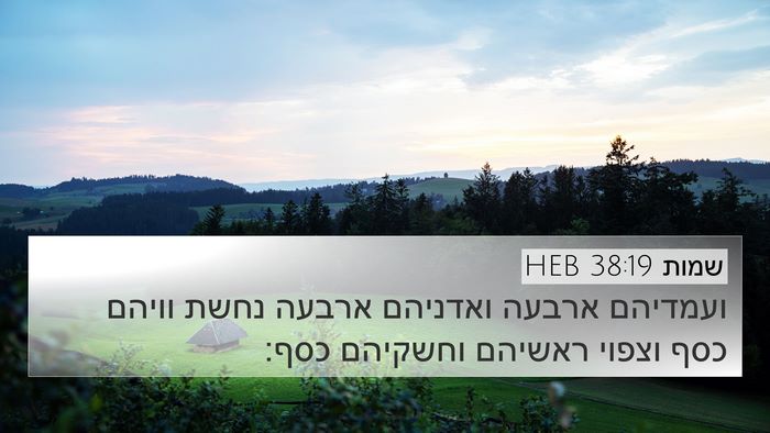 שמות 38:19 HEB Bible Verse Image