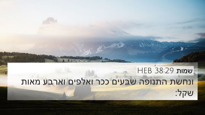 שמות 38:29 HEB 4K Wallpaper - ונחשת התנופה שבעים ככר - 4K Wallpaper Bible Verse