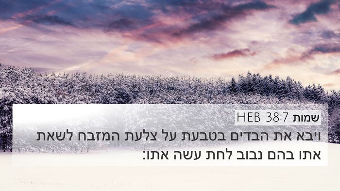 שמות 38:7 HEB 4K Wallpaper - ויבא את הבדים בטבעת על צלעת - 4K Wallpaper Bible Verse