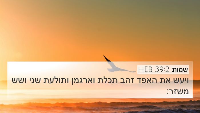 שמות 39:2 HEB 4K Wallpaper - ויעש את האפד זהב תכלת - 4K Wallpaper Bible Verse
