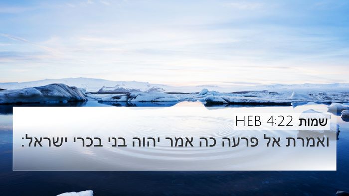 שמות 4:22 HEB Bible Verse Image