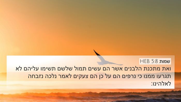 שמות 5:8 HEB Bible Verse Image