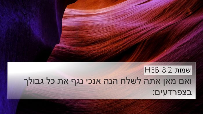 שמות 8:2 HEB 4K Wallpaper - ואם מאן אתה לשלח הנה אנכי - 4K Wallpaper Bible Verse