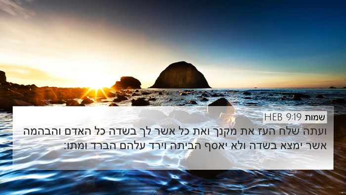 שמות 9:19 HEB Bible Verse Image
