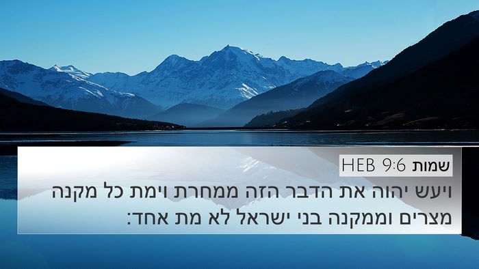שמות 9:6 HEB 4K Wallpaper - ויעש יהוה את הדבר הזה ממחרת - 4K Wallpaper Bible Verse