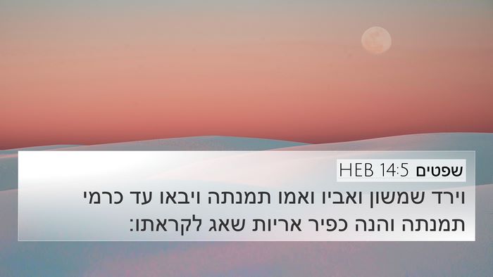 שפטים 14:5 HEB Bible Verse Image