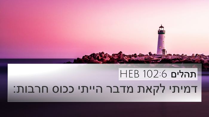 תהלים 102:6 HEB Bible Verse Image