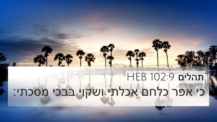 תהלים 102:9 HEB Bible Verse Image