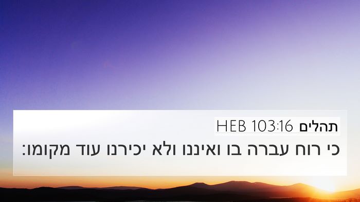 תהלים 103:16 HEB Bible Verse Image