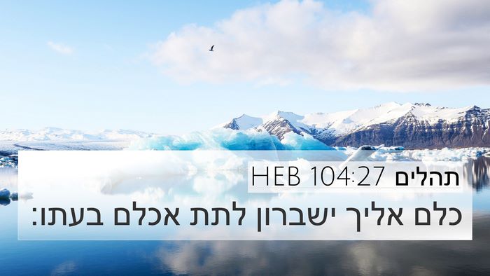 תהלים 104:27 HEB Bible Verse Image