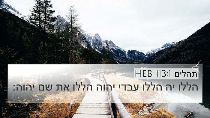 תהלים 113:1 HEB Bible Verse Image
