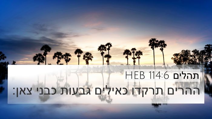 תהלים 114:6 HEB 4K Wallpaper - ההרים תרקדו כאילים גבעות - 4K Wallpaper Bible Verse