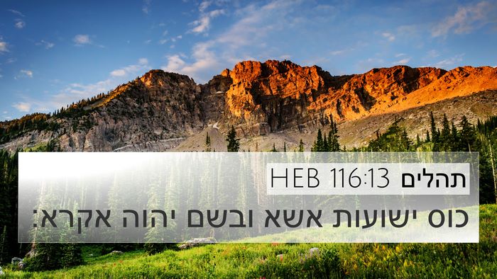 תהלים 116:13 HEB Bible Verse Image