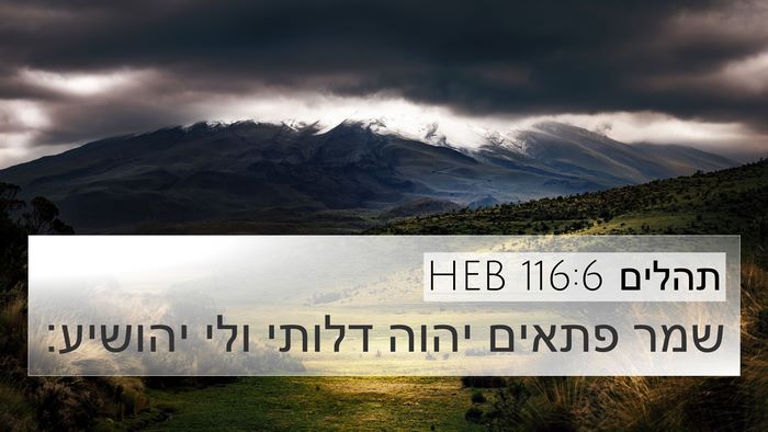תהלים 116:6 HEB Bible Verse Image