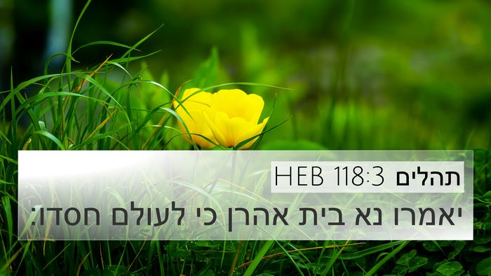 תהלים 118:3 HEB 4K Wallpaper - יאמרו נא בית אהרן כי לעולם - 4K Wallpaper Bible Verse