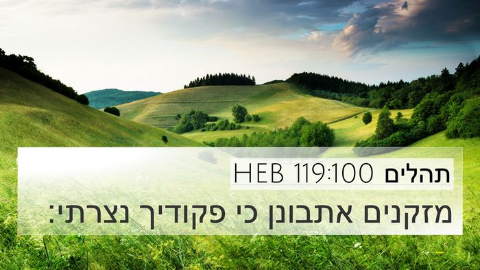 תהלים 119:100 HEB Bible Verse Image