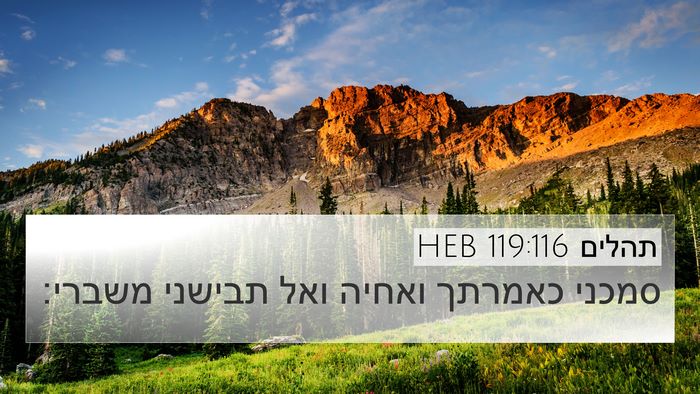 תהלים 119:116 HEB Bible Verse Image