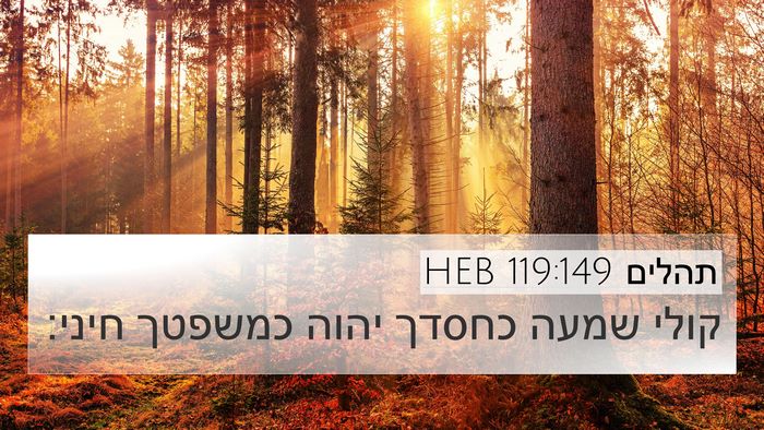 תהלים 119:149 HEB Bible Verse Image