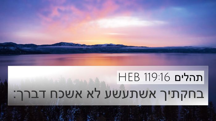 תהלים 119:16 HEB Bible Verse Image