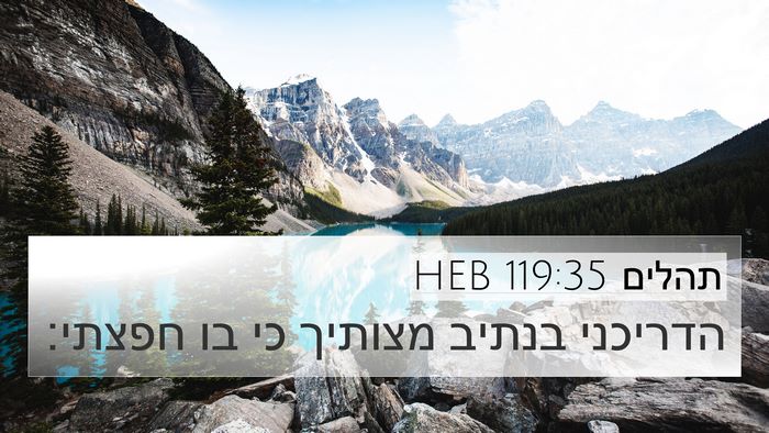 תהלים 119:35 HEB Bible Verse Image