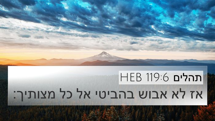 תהלים 119:6 HEB Bible Verse Image