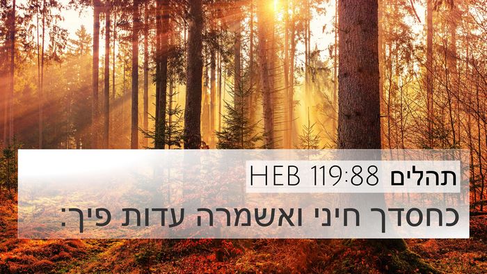תהלים 119:88 HEB Bible Verse Image