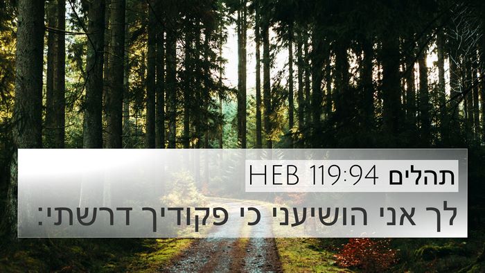 תהלים 119:94 HEB Bible Verse Image