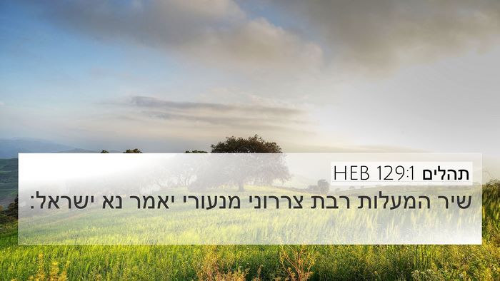 תהלים 129:1 HEB Bible Verse Image