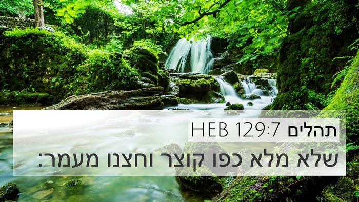 תהלים 129:7 HEB Bible Verse Image