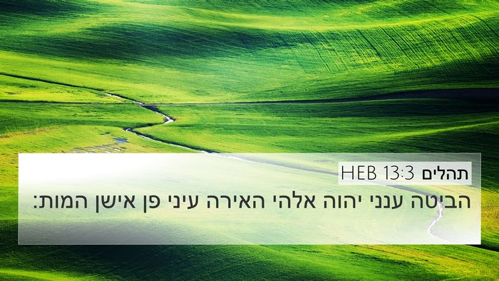תהלים 13:3 HEB Bible Verse Image