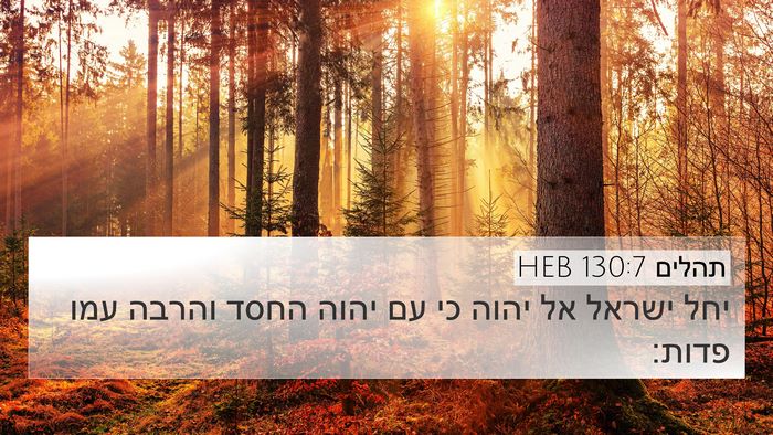 תהלים 130:7 HEB Bible Verse Image