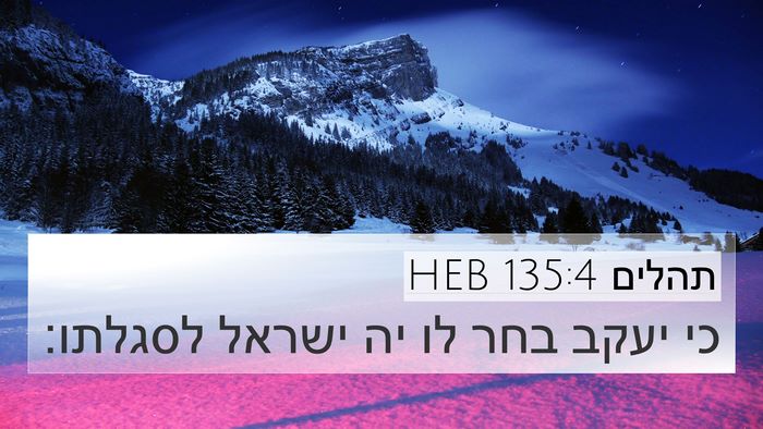 תהלים 135:4 HEB Bible Verse Image