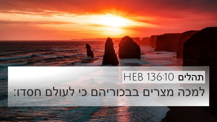 תהלים 136:10 HEB Bible Verse Image