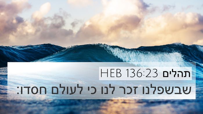 תהלים 136:23 HEB Bible Verse Image