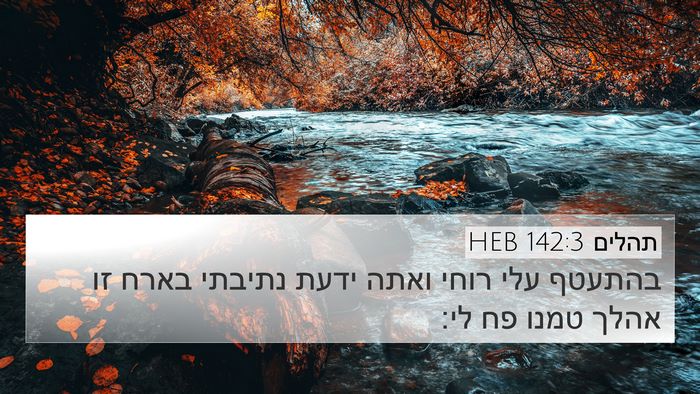 תהלים 142:3 HEB Bible Verse Image