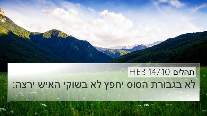 תהלים 147:10 HEB Bible Verse Image
