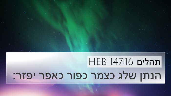תהלים 147:16 HEB 4K Wallpaper - הנתן שלג כצמר כפור כאפר - 4K Wallpaper Bible Verse
