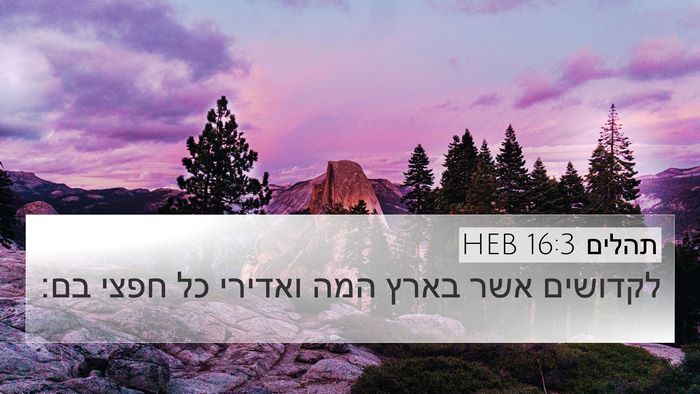 תהלים 16:3 HEB 4K Wallpaper - לקדושים אשר בארץ המה - 4K Wallpaper Bible Verse