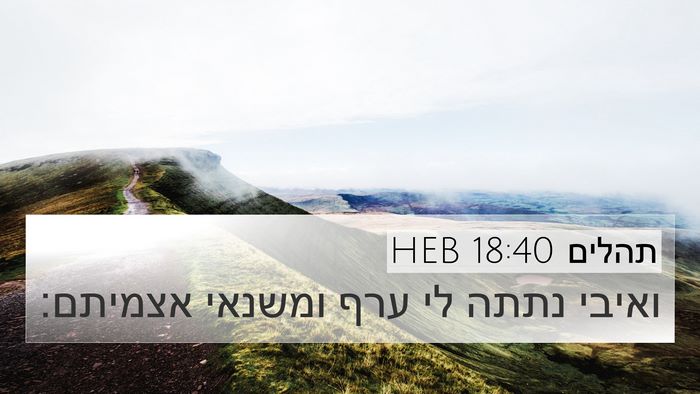 תהלים 18:40 HEB 4K Wallpaper - ואיבי נתתה לי ערף ומשנאי - 4K Wallpaper Bible Verse