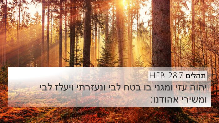 תהלים 28:7 HEB Bible Verse Image