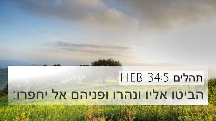תהלים 34:5 HEB Bible Verse Image