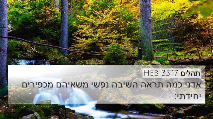 תהלים 35:17 HEB Bible Verse Image