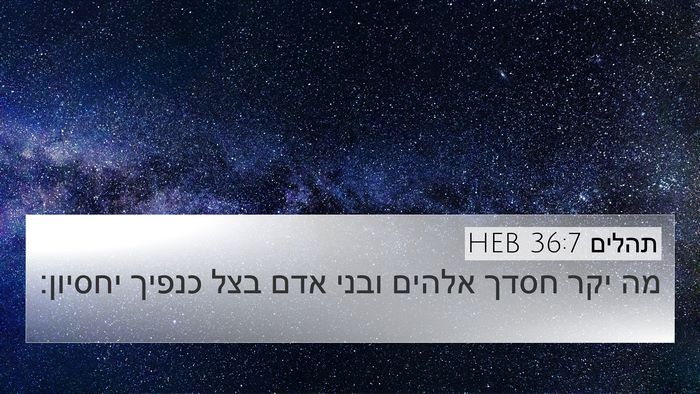 תהלים 36:7 HEB Bible Verse Image