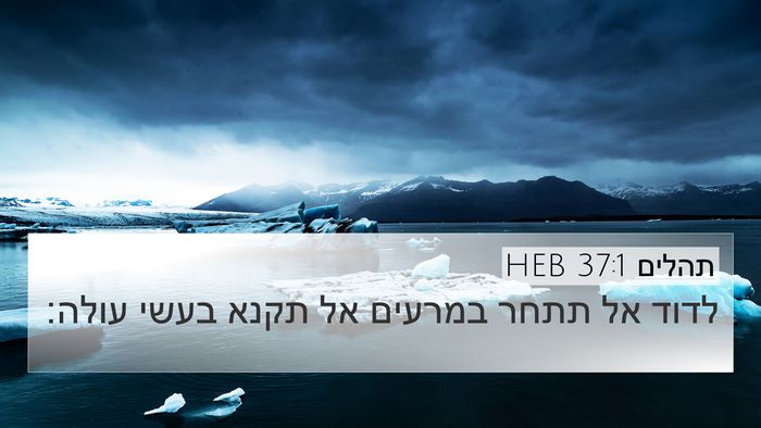 תהלים 37:1 HEB 4K Wallpaper - לדוד אל תתחר במרעים אל תקנא - 4K Wallpaper Bible Verse