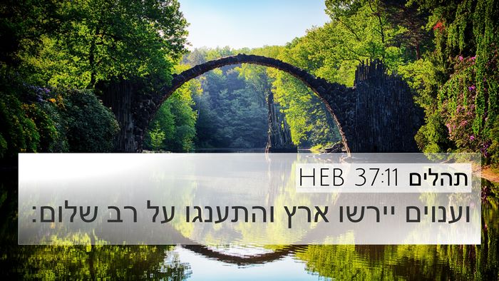 תהלים 37:11 HEB Bible Verse Image