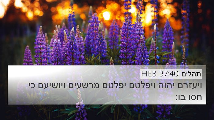 תהלים 37:40 HEB Bible Verse Image
