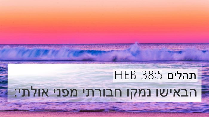 תהלים 38:5 HEB 4K Wallpaper - הבאישו נמקו חבורתי מפני - 4K Wallpaper Bible Verse